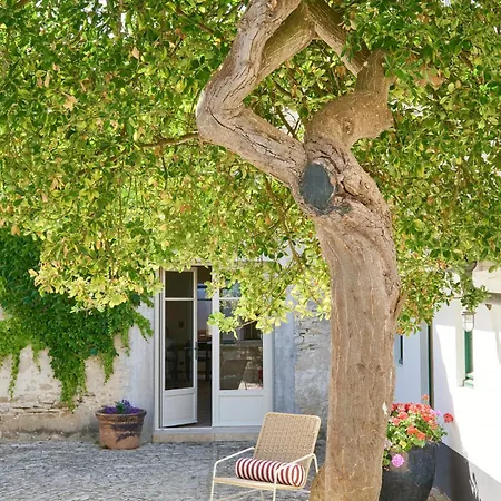 Casa Pinea
